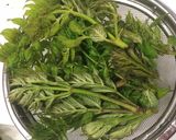タラの芽ならぬ☆タラの葉のおひたし作り方1写真