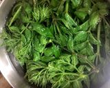タラの芽ならぬ☆タラの葉のおひたし作り方2写真
