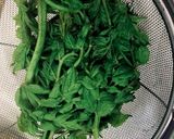 タラの芽ならぬ☆タラの葉のおひたし作り方3写真