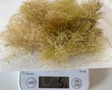 とうもろこしのひげ茶作り方3写真