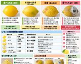 保存版✅レモンが腐るサイン・食べられる見分け方作り方1写真