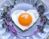 クックパー油なしの目玉焼き作り方13写真