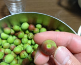 田舎のおばあちゃん直伝！梅酒の作り方♪作り方3写真
