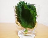 大葉の簡単保存法(最大３週間)作り方3写真
