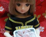 リカちゃんサイズ♡ヤクルト酢豚ꕤ*.ﾟ作り方2写真