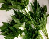 明日葉☆おかか和え作り方1写真