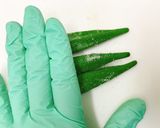 トマトとオクラのカプレーゼ作り方2写真