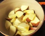 林檎とチキンのこっくり煮作り方1写真