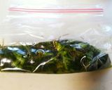 からし菜の簡単浅漬け作り方10写真