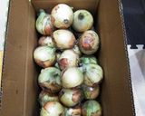 淡路島産★新玉ねぎ8個カレー★作り方1写真