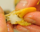 殻付きベビーホタテの処理の仕方作り方13写真