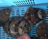 メイタガレイのゴボウ巻き揚げ作り方1写真