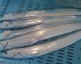 タチウオのアスパラ巻きby浜のかあちゃん作り方3写真