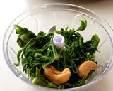 山菜のコシアブラでコシアブラベーゼ作り方1写真
