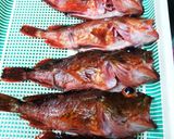 アラカブの味噌汁作り方1写真