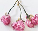 八重桜の塩漬け作り方5写真