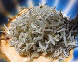 ご飯がすすむ！じゃこマヨ ٩( ᐛ )و作り方6写真