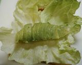 ワンパンサンド！アボカド卵ポテト作り方3写真
