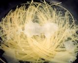 トマトとベーコンのパスタ★作り方2写真