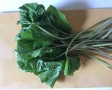 【ごはんのお供】葉わさびの白だし和え作り方1写真