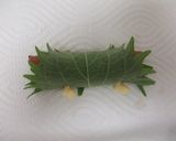 ✿ウインナの大葉チーズまき✿作り方3写真