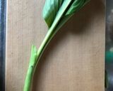 うるいのあっさり炒め作り方1写真
