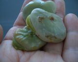 ほくほく焼きそらまめ作り方3写真