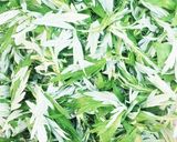 よもぎ大福作り方6写真