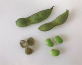 枝豆メジロちゃん♪作り方1写真