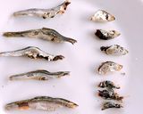 鯛のあらのすまし汁作り方2写真