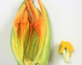 花ズッキーニのリゾット詰めチーズグリル作り方3写真