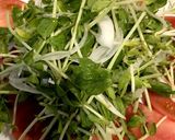 新たまねぎと豚こまサラダ作り方4写真