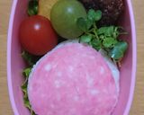 キャラ弁♥️モクロー作り方9写真