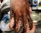 簡単！混ぜるだけ韓国風タコ炒め作り方3写真