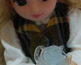 リカちゃんサイズ♡大人のアイスBOX*.作り方2写真