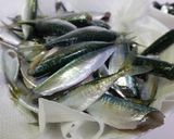 サバっ子の生首揚げ 釣ったらコレ!作り方3写真