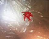 紅ショウガたっぷり♡揚げ玉おにぎり作り方2写真