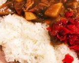 伝説の教育的カレー作り方19写真