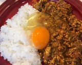 キーマカレー(玉ねぎ、トマト、鳥、牛肉)作り方11写真