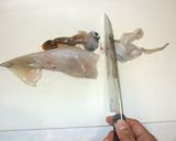 いかハンバーグ♪簡単フードプロセッサーで作り方2写真