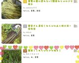 簡単シャキシャキネバネバわらびのおひたし作り方4写真