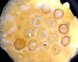 竹輪の窓のオムライス作り方1写真