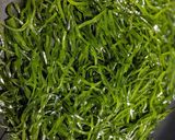 ごま香る☆切昆布と油揚げの炒め煮作り方3写真