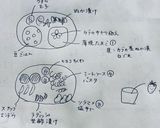 保育園のお弁当(2019.5)作り方16写真