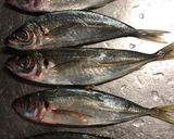 鯵のサラダ 南蛮漬け風作り方3写真