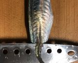 鯵のサラダ 南蛮漬け風作り方7写真