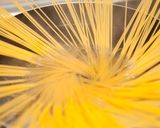 和風たらこパスタ⁂麺つゆで簡単に作り方1写真