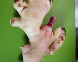 新しょうがの醤油漬け作り方1写真