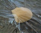 サクサク食感のクッキーシュー作り方5写真