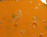 流し型でたまご焼き作り方4写真